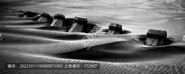 沙丘