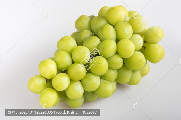 陽光葡萄