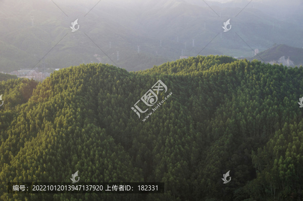 青山大山森林風景