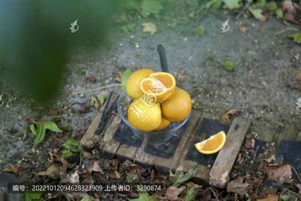 一組新鮮橙子的靜物圖