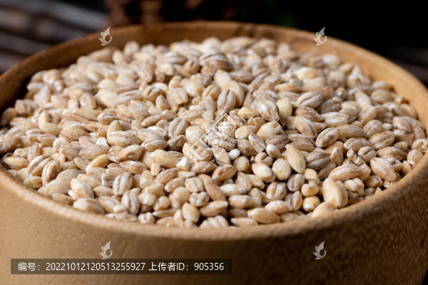 白青稞