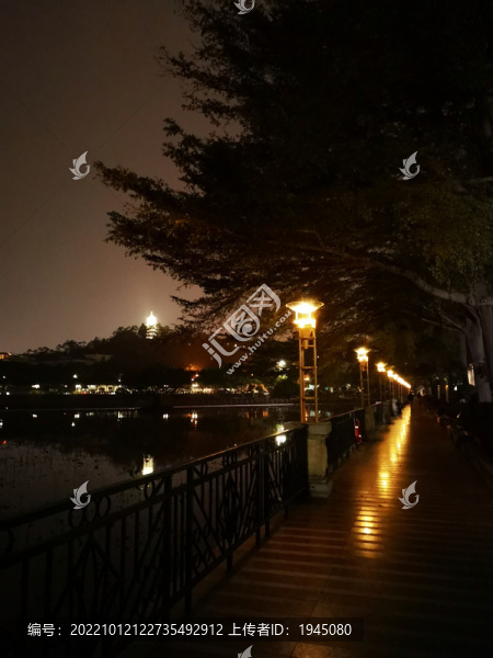 東莞橋頭蓮湖夜景