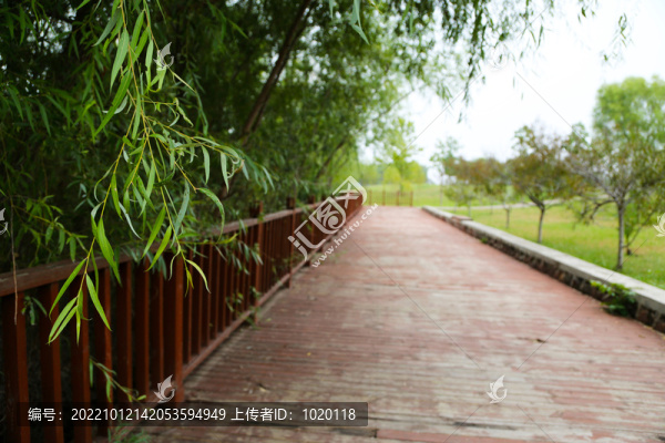 生態(tài)木步道和欄桿