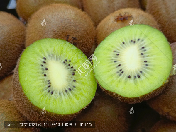 生態(tài)獼猴桃