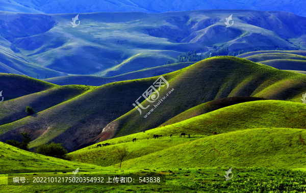 新疆伊犁草原美景