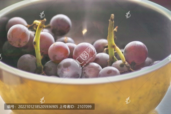 紫葡萄