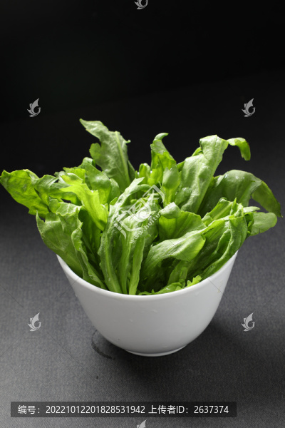 茼蒿