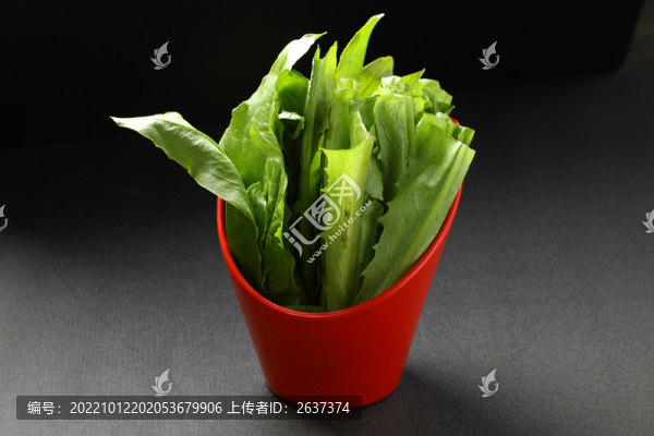 油麥菜