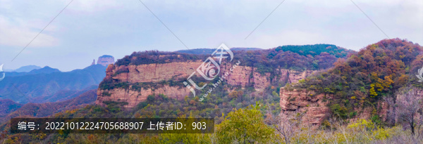 石材底紋裝飾畫(huà)