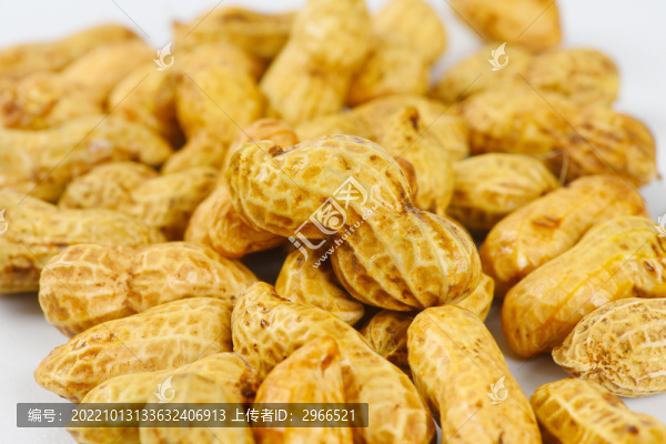新鮮花生