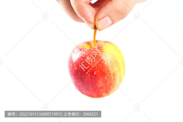 手拿一個(gè)海棠果