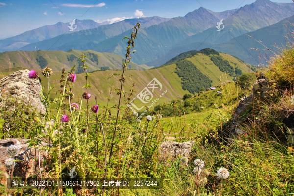 群山峻嶺與山景