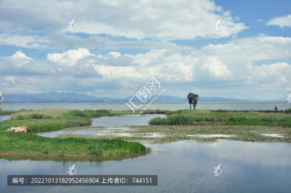 昆明寶豐濕地