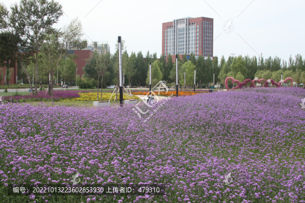 大慶百花園