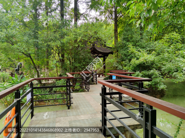 公園九曲橋