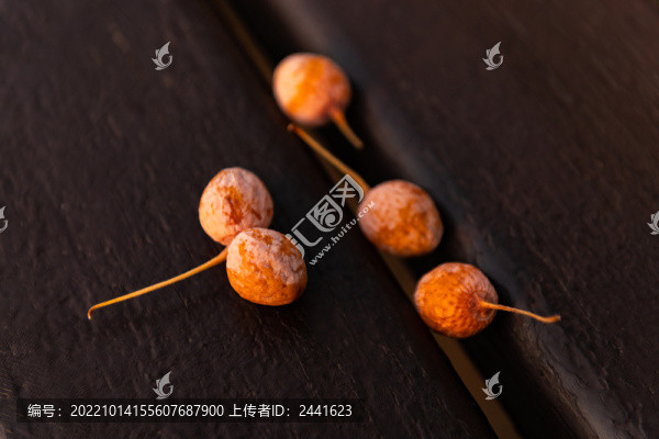 銀杏果
