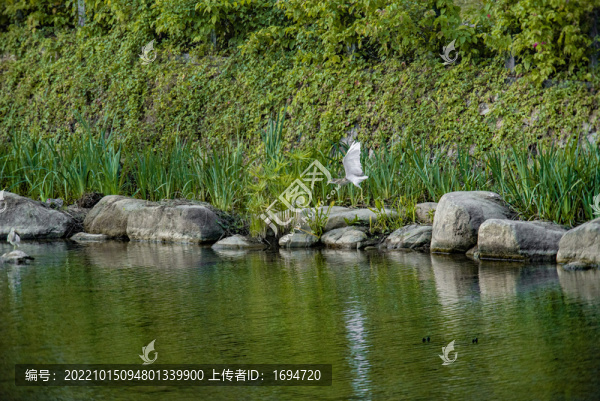 河道飛翔
