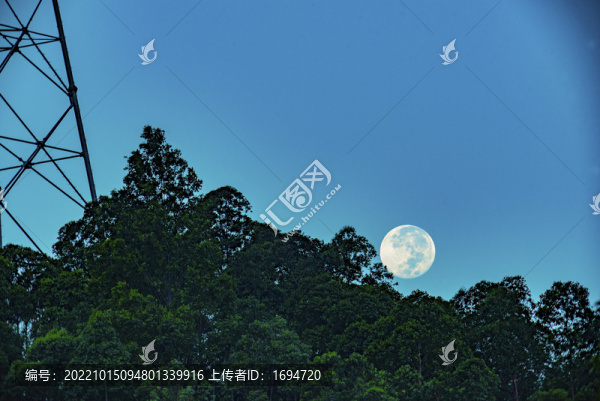 樹(shù)梢明月