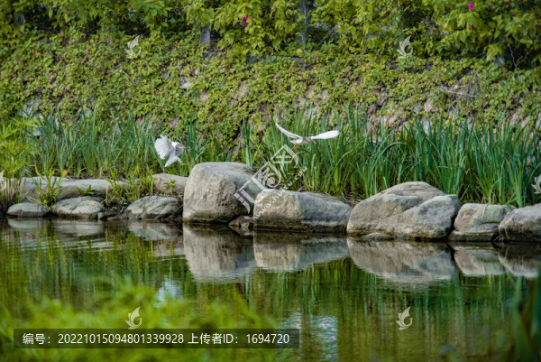驚弓之鳥(niǎo)