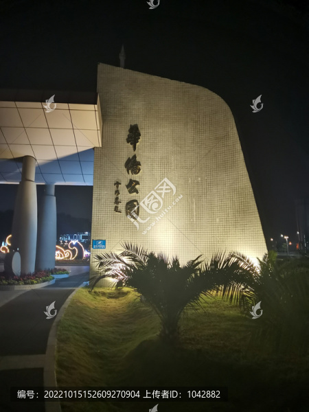 公園夜景