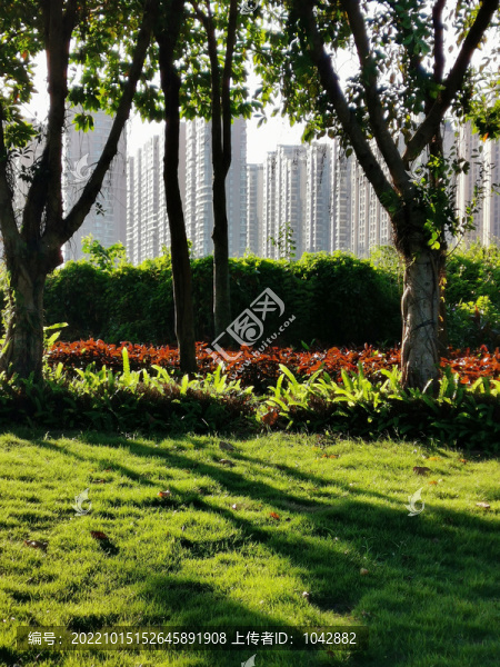公園風(fēng)景