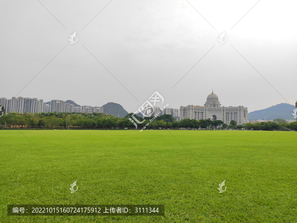 綠草地