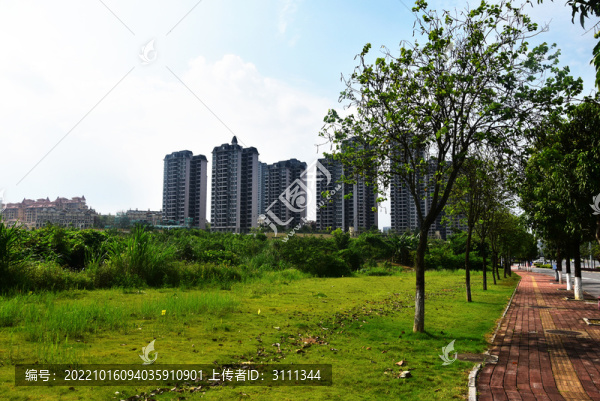 綠地與高樓
