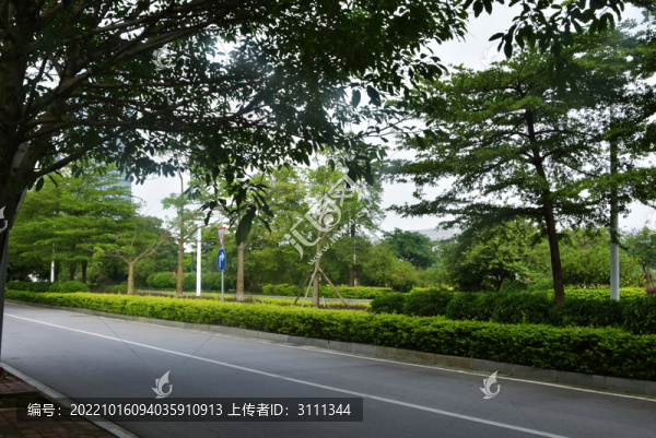 都市風(fēng)光