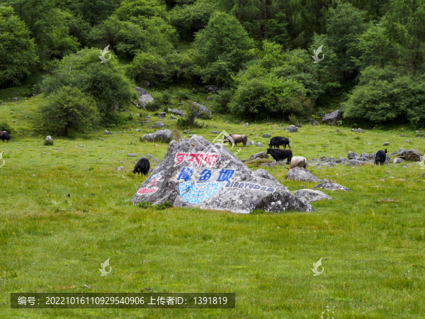 四姑娘山雙橋溝