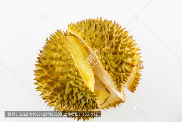 榴蓮