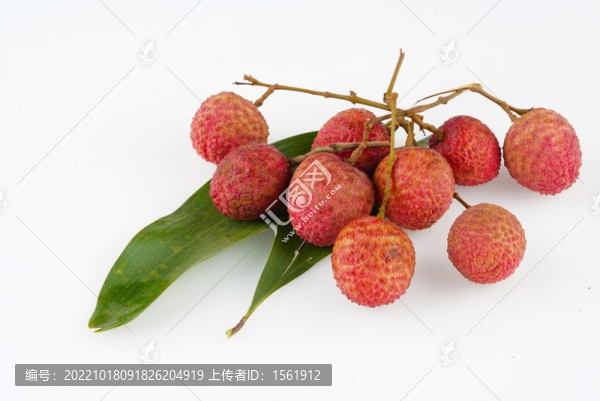 荔枝