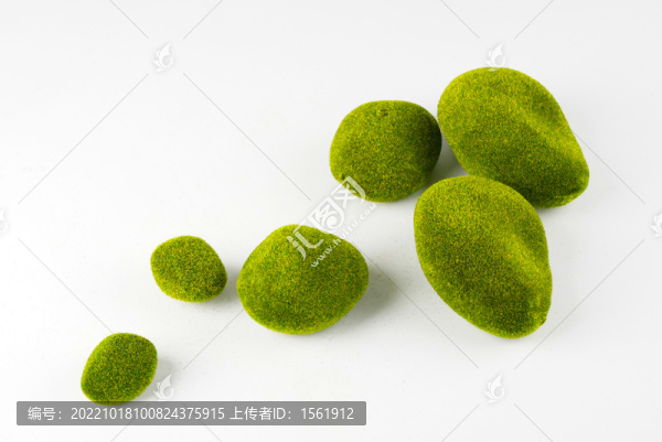 苔蘚石頭