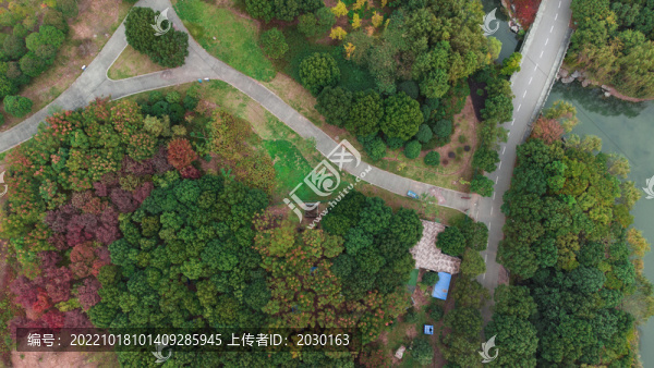 航拍公園綠色