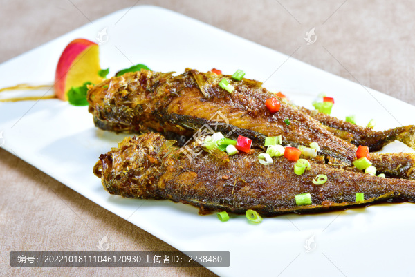 小黃魚