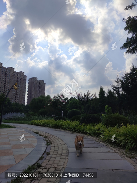城市天空