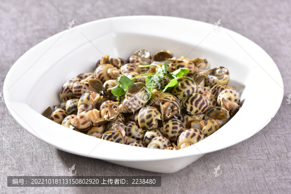 花螺