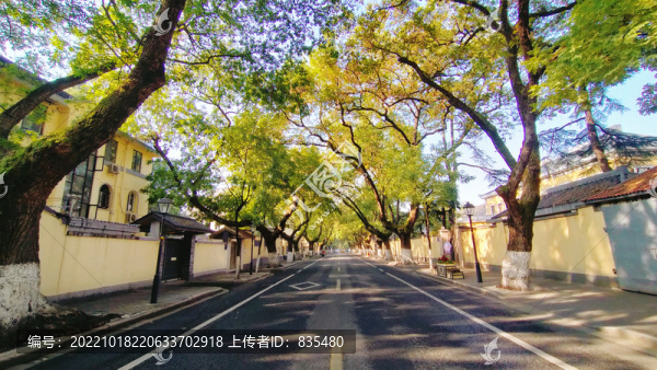 頤和路