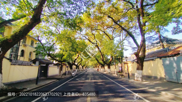 頤和路