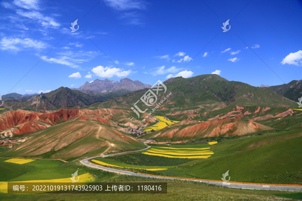 高山草甸