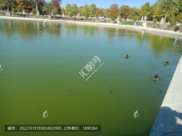 湖邊