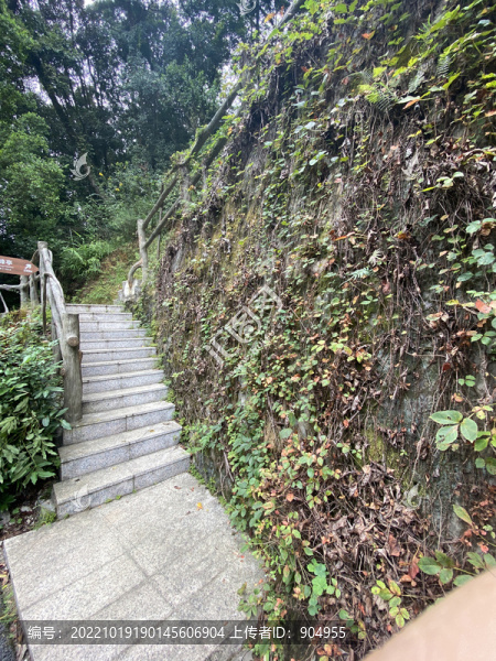 公園樓梯