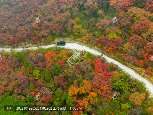 濟(jì)南歷城彩石鎮(zhèn)紅葉爛漫