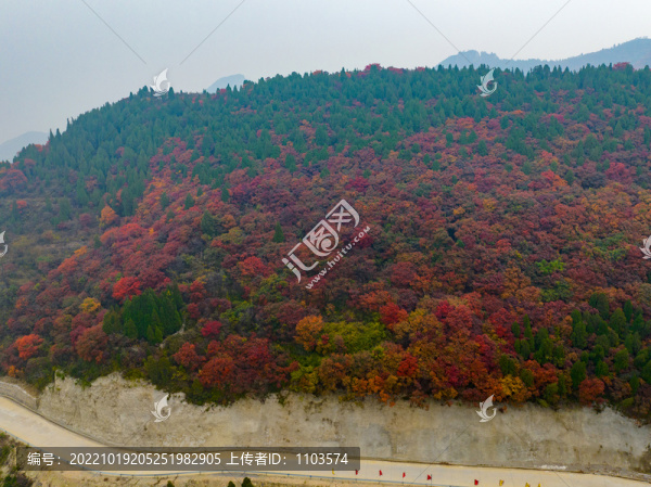 濟(jì)南歷城彩石鎮(zhèn)紅葉爛漫