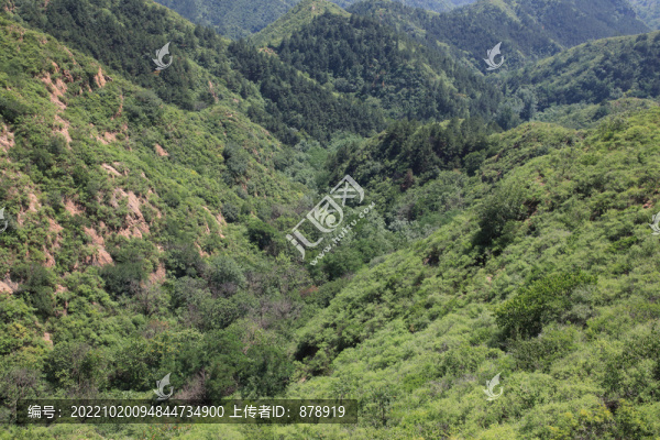 綠色山嶺