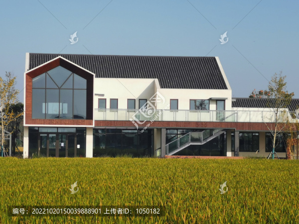 美麗鄉(xiāng)村