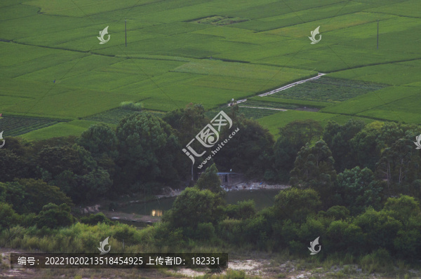 綠色良田沃土