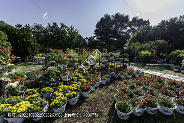 長春市兒童公園秋季菊花展場景