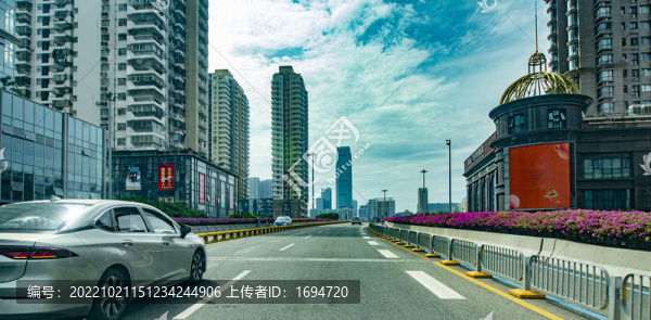 深圳高架橋兩旁的杜鵑花