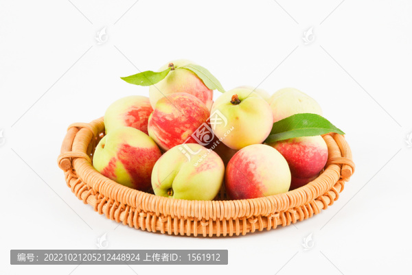 毛桃