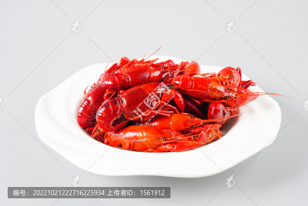 小龍蝦